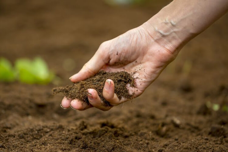 Зачем бросают горсть земли в могилу на похоронах