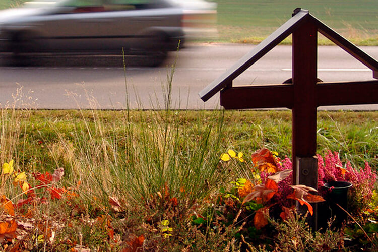 Кладбища вдоль автотрасс – новый экологический проект