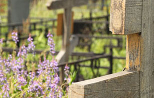 Власти Санкт-Петербурга планируют весеннюю уборку городских кладбищ