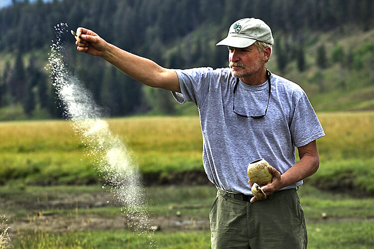 Развеивание праха