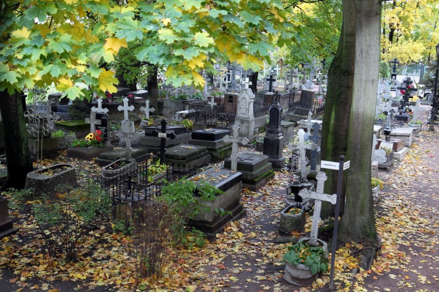 Самые частые причины смерти в Петербурге